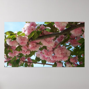Dubbelbloeiende Cherry Tree IV Spring Poster