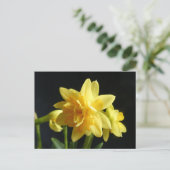 Dubbelbloemige Daffodils DIY Briefkaart (Staand voorkant)