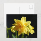 Dubbelbloemige Daffodils DIY Briefkaart (Voorkant / Achterkant)