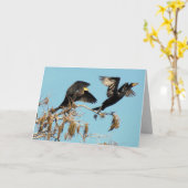 Dubbele aalscholvers vliegen (2537) kaart (Gele Bloem)