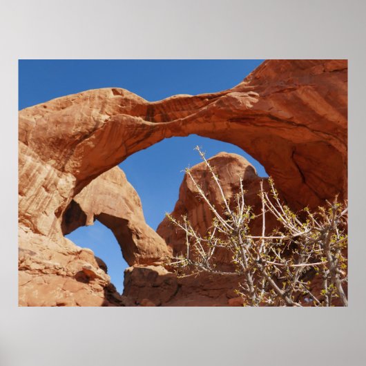 Dubbele boog bij Arches National Park Poster (Voorkant)