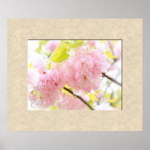 Dubbele Cherry Blossom: Benitemari Poster