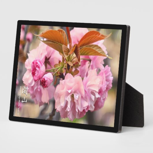 Dubbele Cherry Blossom: Kanzan Fotoplaat (Zijkant)