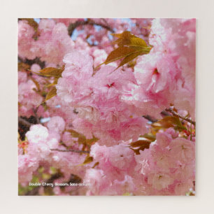 Dubbele Cherry Blossom: Sato-zakura Legpuzzel