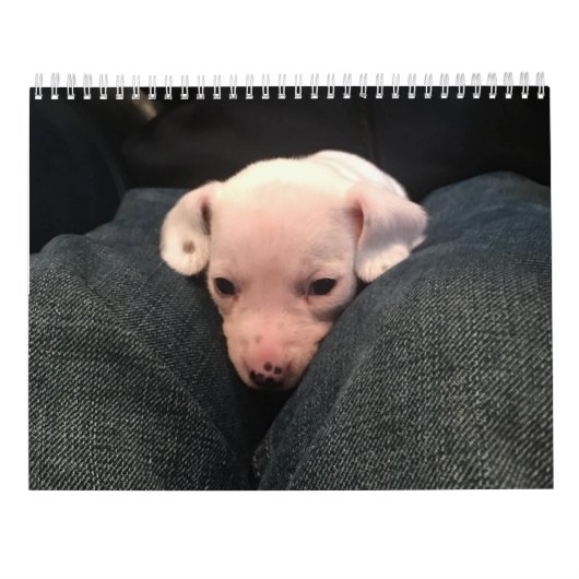 Dubbele Dachshund Agenda Kalender (Achterkant)