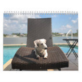 Dubbele Dachshund Agenda Kalender (Hoes)