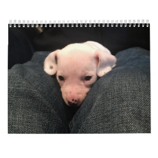 Dubbele Dachshund Agenda Kalender