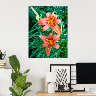 Dubbele daglelie oranje bloem foto print poster