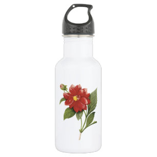 dubbele dahlia (Dahlia sp.) van Redouté Waterfles
