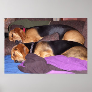 Dubbele Dog Tired Poster
