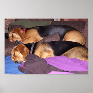Dubbele Dog Tired Poster