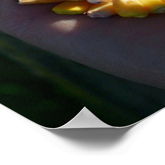 dubbele gewas poster (Hoek)