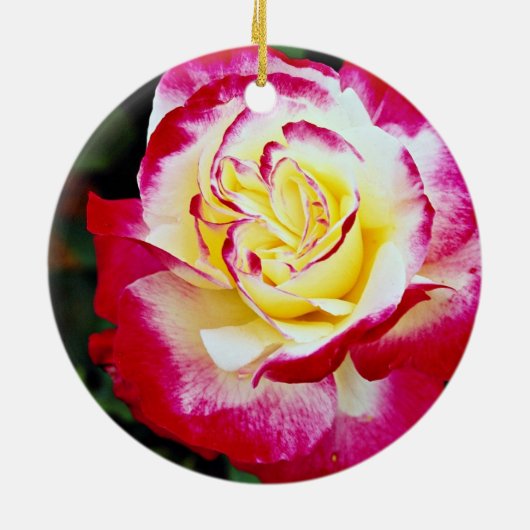 Dubbele hybride thee Roos "Andeli" Witte stroom Keramisch Ornament (Achterkant)