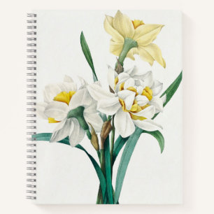 Dubbele narcis, Pierre-Joseph Redouté, 1827 Notitieboek