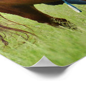 Dubbele paarden poster (Hoek)