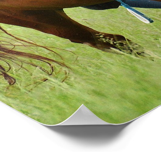 Dubbele paarden poster (Hoek)