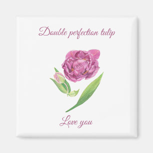 Dubbele perfectie lila-magenta tulp waterverf magneet