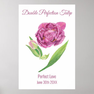 Dubbele perfectie tulp roze magenta waterverf poster