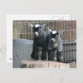 Dubbele problemen briefkaart (Voorkant / Achterkant)