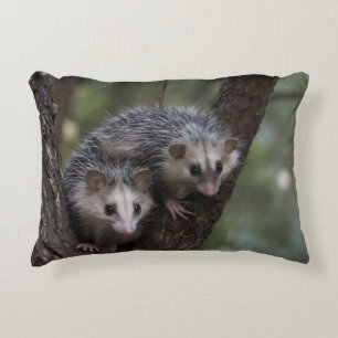 Dubbele problemen in het bladerdak: Twin Possums Accent Kussen