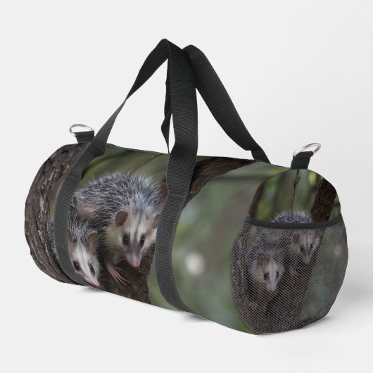 Dubbele problemen in het bladerdak: Twin Possums Plunjezak (Rechterhoek)