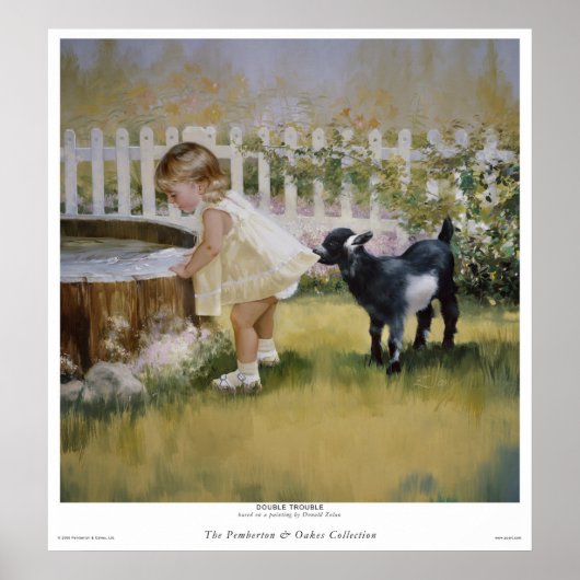 Dubbele problemen poster (Voorkant)