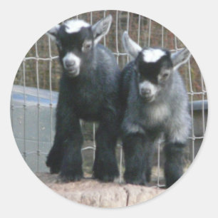 Dubbele problemen ronde sticker