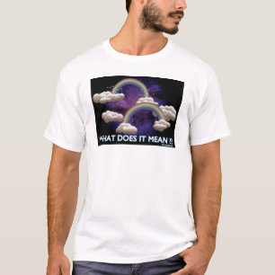 Dubbele regenboog t-shirt