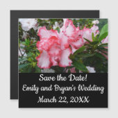 Dubbele rode en witte Azaleas Spring Floral (Voorkant / Achterkant)