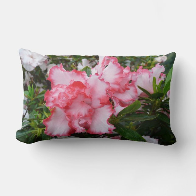 Dubbele rode en witte Azaleas Spring Floral Kussen (Voorkant)