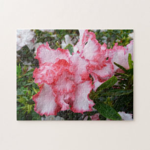 Dubbele rode en witte Azaleas Spring Floral Legpuzzel