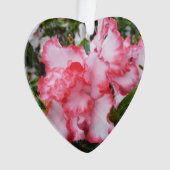 Dubbele rode en witte Azaleas Spring Floral Ornament (voorkant)