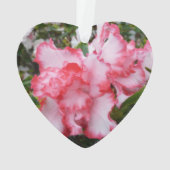 Dubbele rode en witte Azaleas Spring Floral Ornament (achterkant)