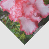 Dubbele rode en witte Azaleas Spring Floral Tissuepapier (Detail)