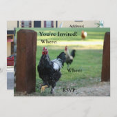 Dubbele uitnodiging, rooster kaart (Voorkant / Achterkant)