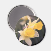 Dubbele Wild Daffodil Magnet Magneet (Voorkant / Achterkant)