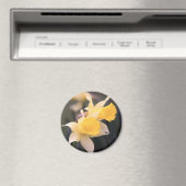 Dubbele Wild Daffodil Magnet Magneet (Insitu (Vaatwasser))