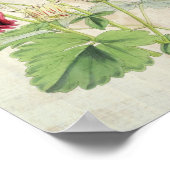  dubbelstreepte kolombinatie poster (Hoek)