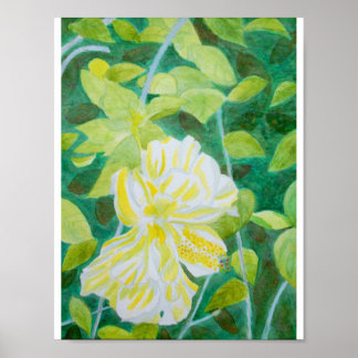 Dubbelwitte waterverf van hibiscus-bloem poster