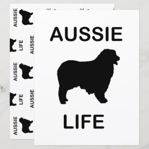 Dubbelzijdige Australische herder Aussie Life