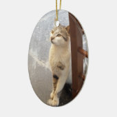 Dubbelzijdige kattenversiering keramisch ornament (Links)