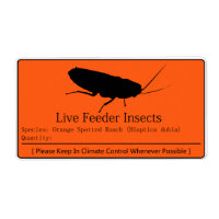 Dubia Roach Étiquette