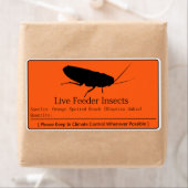 Dubia Roach Label (Insitu)