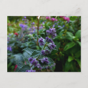 Dublin Blooms Briefkaart