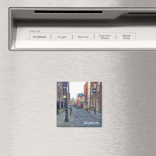 Dublin Magneet (Insitu (Vaatwasser))