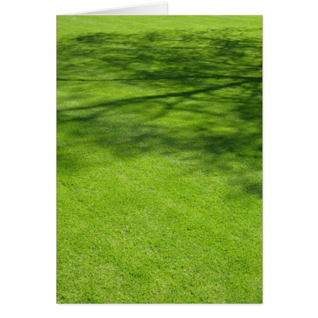 Dublin Shadows (Voorkant)