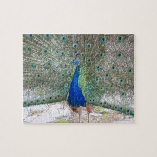 Dubrovnik, Kroatië, Lokrum Island, kleurrijk Legpuzzel