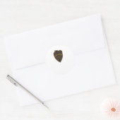 Ducati Logo Sticker 3 (Envelop)