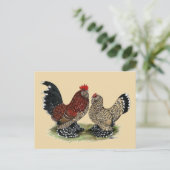 D'Uccle Bantams:  Mille Fleur Briefkaart (Staand voorkant)