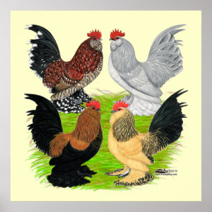 D'Uccles Four Roosters Poster